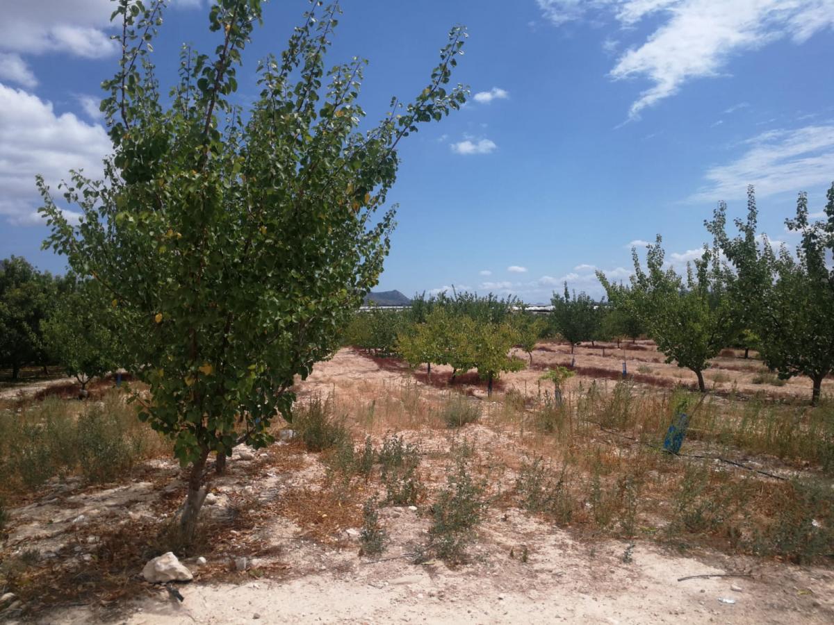 22-08-2019_IMG-20190821-WA0016 - copia.jpg